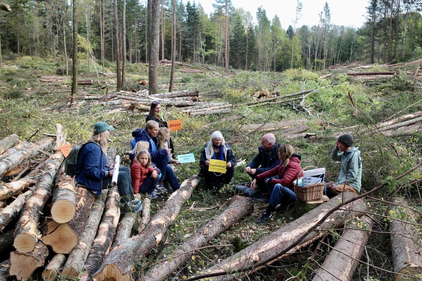Deltakerne sitter på felte tømmerstokker midt i det nyhogde flatehogstområdet.